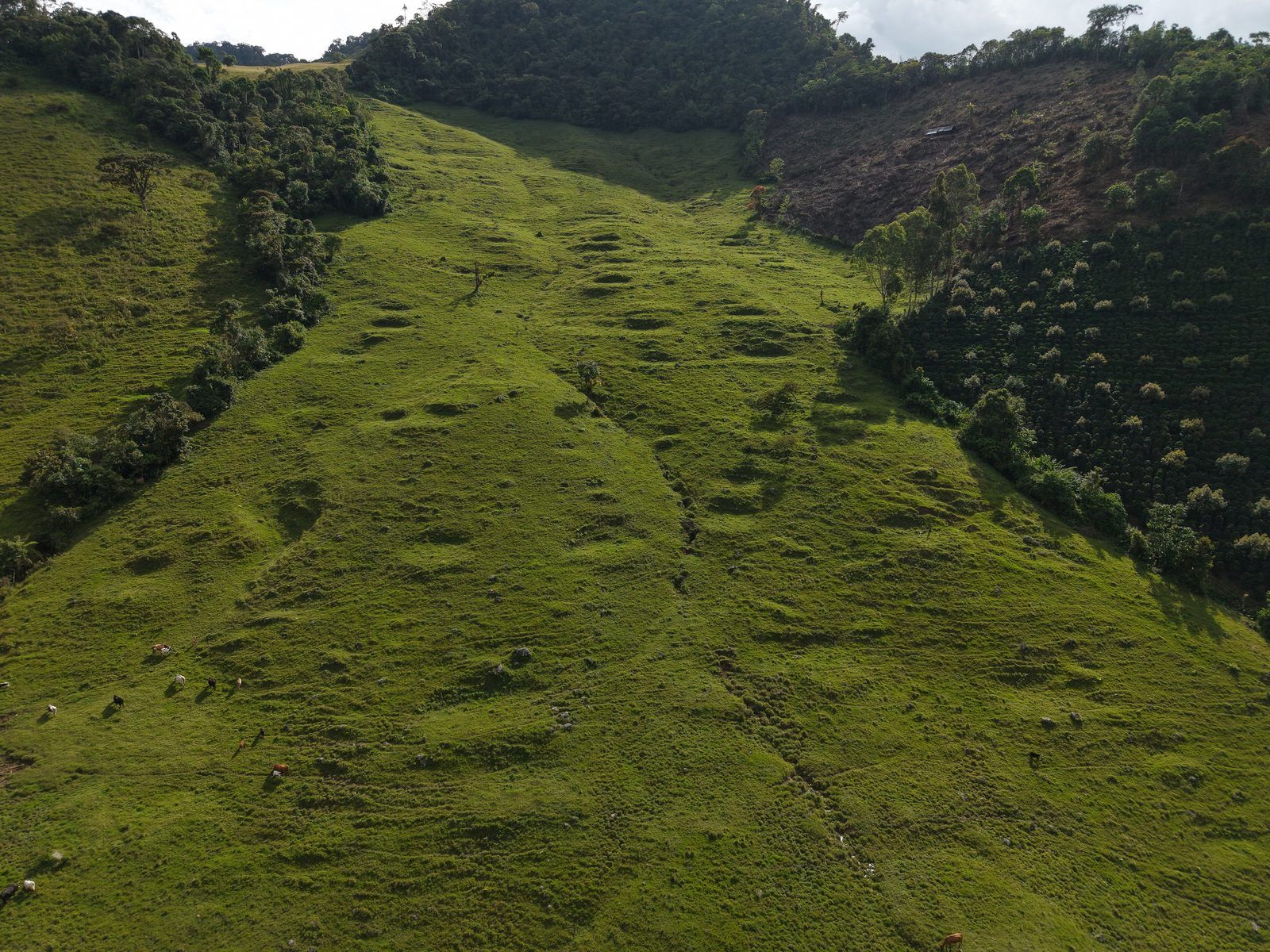 Vista aérea del sitio: terrazas escalonadas y montículos ovalados recortados en la ladera verde, con el valle del río detrás